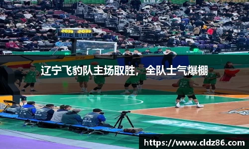 辽宁飞豹队主场取胜，全队士气爆棚