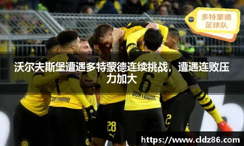 qy球友会