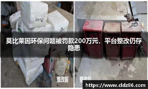 莫比莱因环保问题被罚款200万元，平台整改仍存隐患