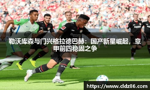 勒沃库森与门兴格拉德巴赫：国产新星崛起，意甲前四稳固之争