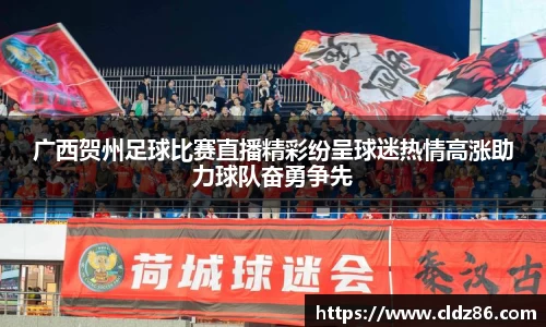 广西贺州足球比赛直播精彩纷呈球迷热情高涨助力球队奋勇争先