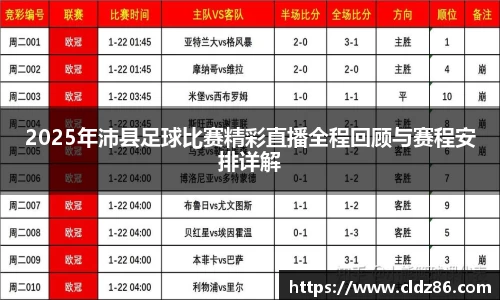 2025年沛县足球比赛精彩直播全程回顾与赛程安排详解
