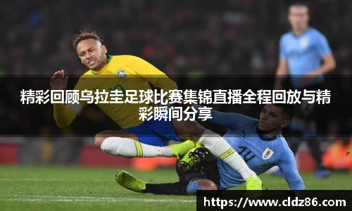 qy球友会